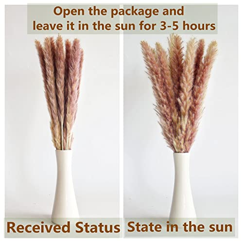 110 PCS of Boho Pampas Grass Decor, Naturally Dried Pompas, Bunny Tails Dried Flowers, and dried eucalyptus. Perfect for W...