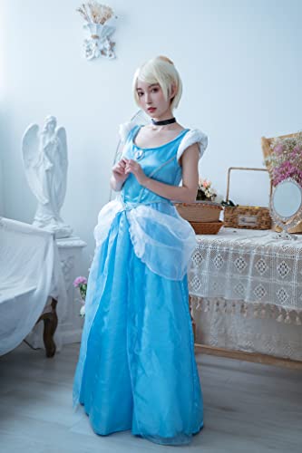Disguise womens Cinderella Costume, Official Disney Princess Cinderella Deluxe Dress Adult Sized Costumes, Blue, Medium 8-10 US