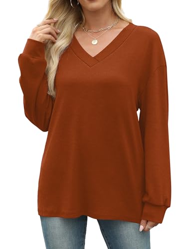 WIHOLL Long Sleeve Shirts for Women V Neck Tops Tunic Fall Winter Sweatshirts 2025 Clothes