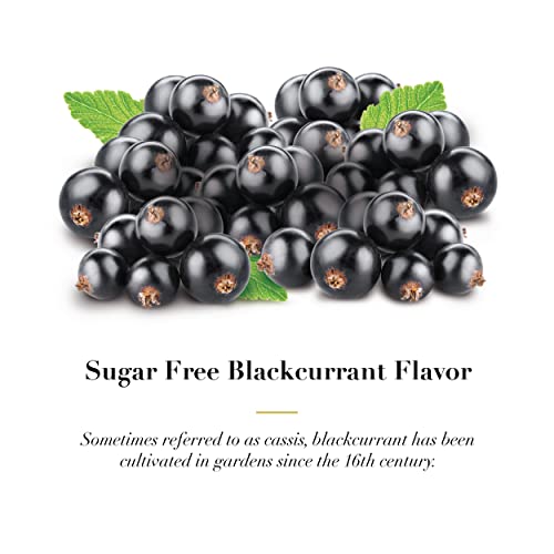 DOOLITTLE Dr Sugar Free Soft Fruit Pastilles for Voice and Throat, Blackcurrant Flavor, 2.12 Ounce Tin, Approximately 25 Count Package, 8 Pack