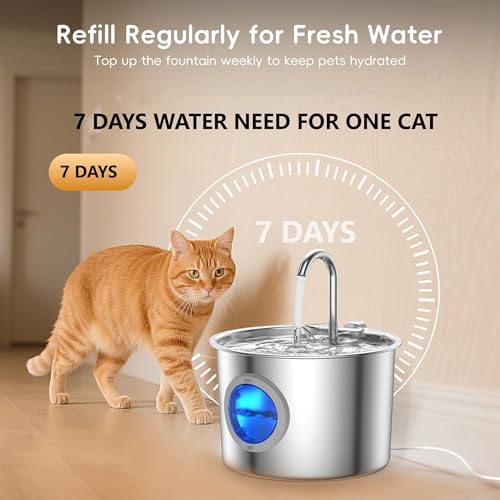 Cat Water Fountain Advanced 304 Stainless Steel 2.2L/74oz with Detachable Tank, Easy to Clean, Automatic Pet Fountain Quie...