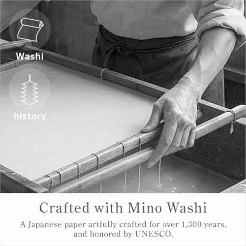 Oil Blotting Paper 100 Sheets, Pack of 1 ? Premium Green Tea Face Blotting Sheets, Oil Absorbing Tissues in Japanese Washi, Easy-Dispense Pack, Made in Japan, Oily Skin Care & Makeup Essential