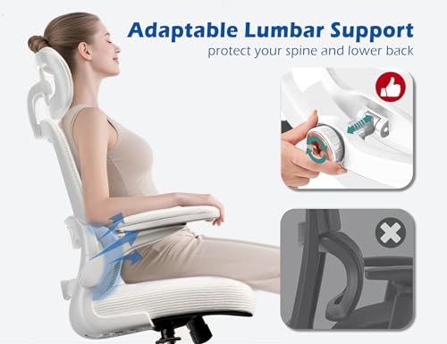 TRALT Ergonomic Office Chair - Desk Chair with Adjustable Headrest Lumbar Support Computer Chair - Mesh Comfy Chair with F...