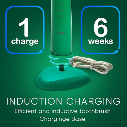 BIG MOUTH TOOTHBRUSH Dr Bobbi Electric Toothbrush for Adults Ultrasonic Rechargeable Toothbrush with 5 Cleaning Modes & 2-Minute Smart Timer Retains 42-Day Battery Travel-Ready Design ? (Green)