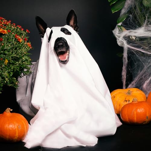 Ahzemepinyo Halloween Ghost Dog Costume - White Ghost Costume for Dogs & Cats with Opened Ear - Large