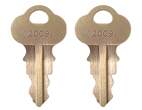 tsingseen life 2 Keys Lockswitch H2009 Soda Fountain Beverage Dispenser PART NUMBER 1032689 OEM PART NUMBER 72500124