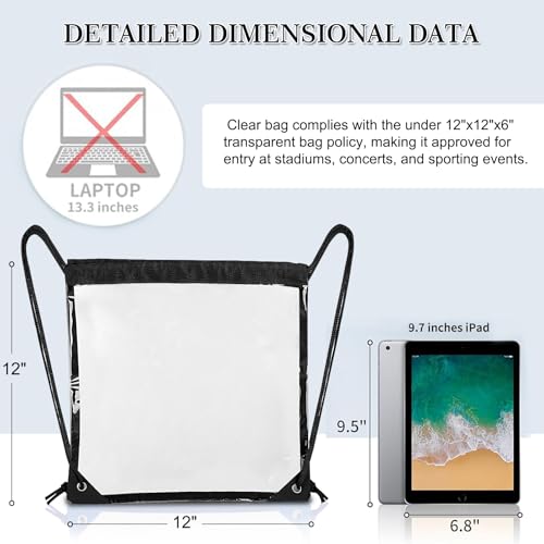 RunaFun 2Pack Clear Drawstring Backpack ，12×12×6 Small Clear Drawstring Bags for Stadium Events, Work, Festivals and Sport...