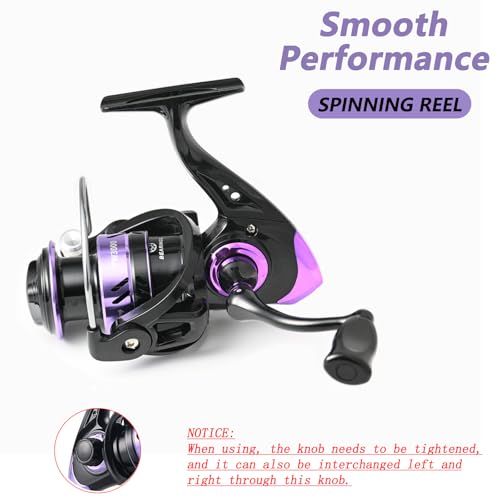 OLOLYAP Fishing Pole Combo 2PCS Telescopic Fishing Rod and Aluminum Reel Combos with Carrier Bag Sea Saltwater Freshwater ...