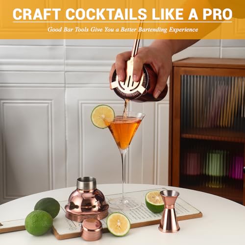 Bartender Kit Cocktail Shaker Set, Stainless Steel Cocktail Kit with 12 Piece Bar Accessories, 25oz Shaker Bar Set Drink M...