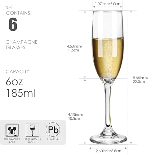HAKEEMI Champagne Flutes Set of 6, Classic Champagne Glasses Bulk, Elegant Toasting Flutes, 6 oz