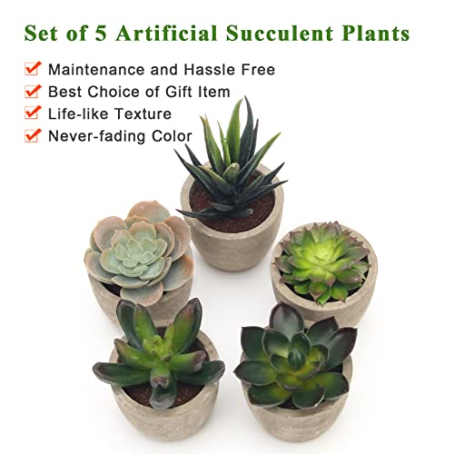 Coitak Artificial Succulent Plants Potted, Assorted Decorative Faux Succulent Potted Fake Cactus Cacti Plants with Pots, S...