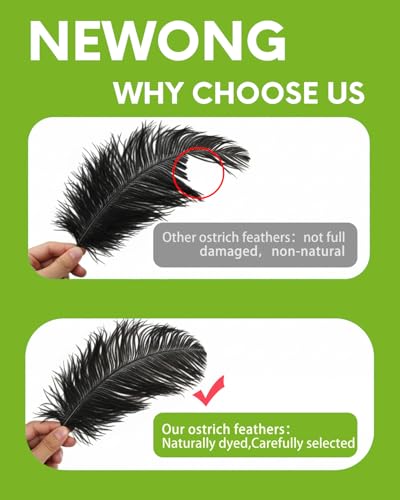 NEWONG 30pcs Black Ostrich Feathers Natural Bulk 9-12inch(23-30cm) Vase Craft Wedding Home Party Centerpieces Christmas Da...