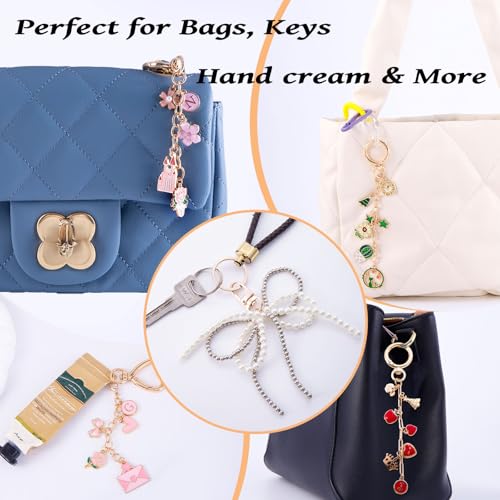 Wurosi 325Pcs Charms Lip Gloss Keychain Making Kit, Including 20 Keychain Clips 25 Extender Chain 118 Charms Jewelry Plie...