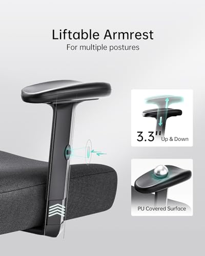 Hbada P3 Ergonnomic Office Chair with 2D Adjustable Lumbar Support, Office Chair with Adjustable Headrest and Armrest, 14...
