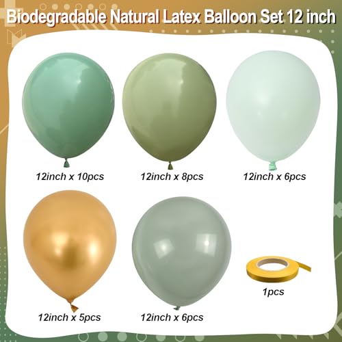 Sage Green and Gold Balloons, Pastel Sage Gold Party Balloons, Eucalyptus Olive Mint Green Biodegradable Balloon for Baby ...