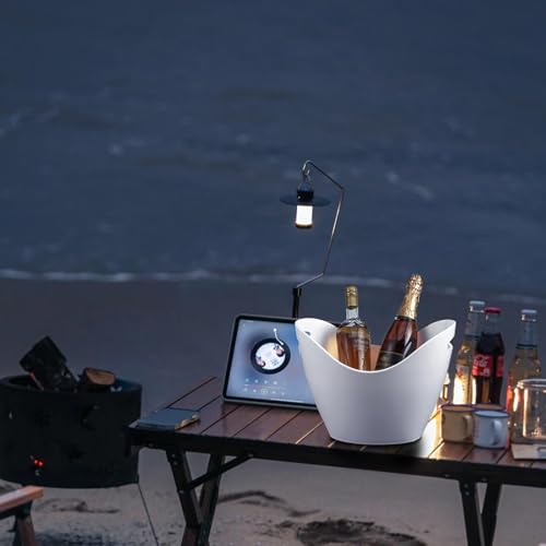 Insulated Ice Bucket for Parties 8L, Large Champagne Bucket for Cocktail Bar, Acrylic Ice Tub White
