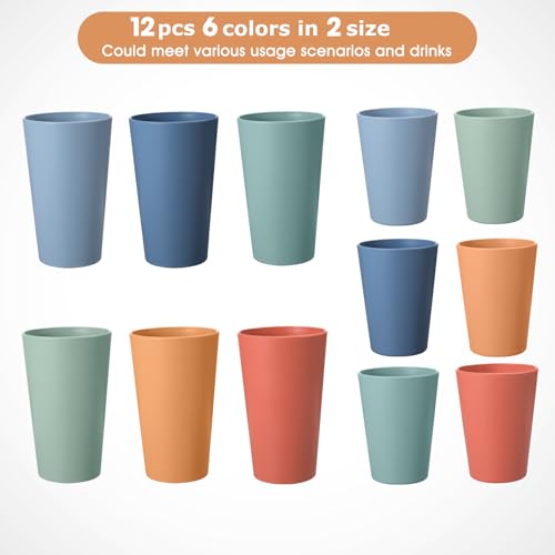 HEYCOME Set of 12 Wheat Straw Cups, 6 Pcs 20 oz & 6 Pcs 12 oz Unbreakable Drinking Cups, Reusable Plastic Cups Sets, Water...