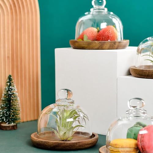 Charcuterie Snow Globes, Mini Cake Stand Display with Wooden Tray and Glass Dome Lid, Charcuterie Board for Cheese Dessert...