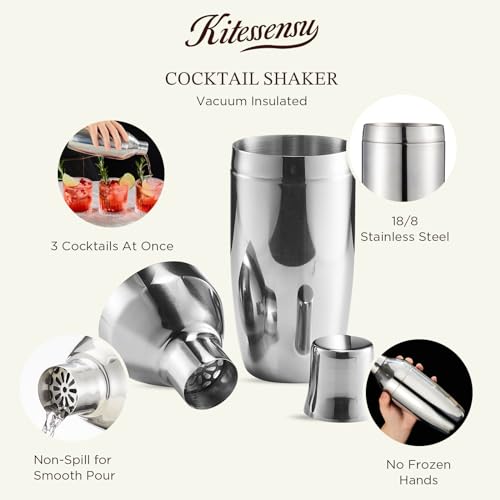 KITESSENSU Cocktail Shaker Set with Carry Case: Vacuum Insulated Martini Shaker with Built-in Strainer, 2 Martini Glasses,...