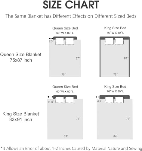 JYK Queen Size Korean Mink Blanket, 5 LB Fleece Bed Blanket - 2 Ply Reversible 520GSM Silky Soft Plush Warm Blanket for Au...