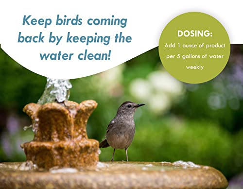 Sanco Bird Bath & Fountain Maintenance, Fast-Acting Enzyme-Based Formula Will Extend The Life of Your Water Feature, Aid i...