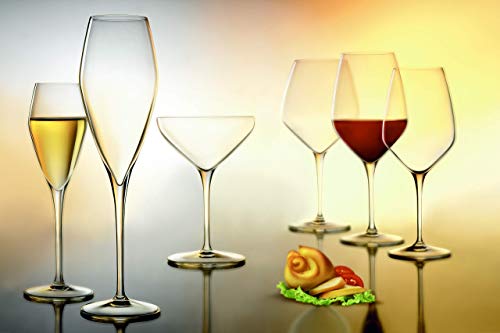 Luigi Bormioli Atelier 9.25 oz Champagne Glasses, 6 Count (Pack of 1), Clear