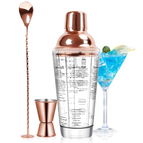 SAVORLIVING 14oz Glass Cocktail Shaker Set, Margarita Mixer-Shaker with Built-in Strainer and Measuring Jigger & Mixing Sp...