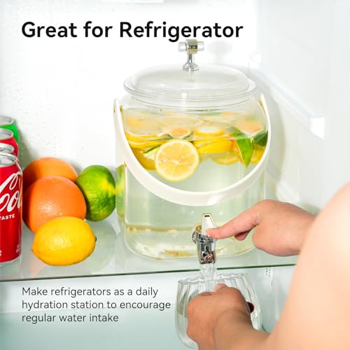 1 Gallon Beverage Dispenser - Leak proof Juice Dispenser Sealed Plastic Lemonade Dispensers with Anti-Rust Lids Drink Jug ...