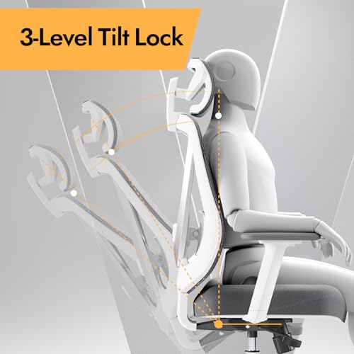 HOLLUDLE Ergonomic Mesh Office Chair - 3D Adjustable Lumbar Support & 3D Armrests, V-Shaped Back, Adjustable Desk Chair fo...