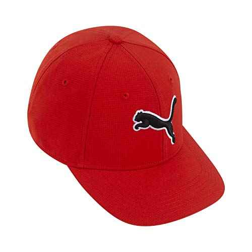 PUMA Unisex-Adult Evercat Dillon Stretch Fit Cap