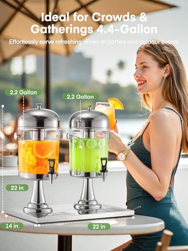 Drink Dispensers for Parties, 4.4 Gallon Beverage Dispenser with Stand & Ice Core, Stainless Steel Beverage Dispenser, Com...