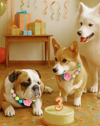 Hosiwei Princess Bubblegum Dog Collar Necklace, Chunky Beads (19mm) with Flower Charm Pet Collar | Adjustable Sparkling Pe...