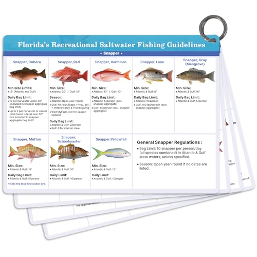 OCQOTAT Florida Saltwater Fish& Shark Identification Set–4 Double-Sided Waterproof Quick-Reference Fishing Guide Cards wit...
