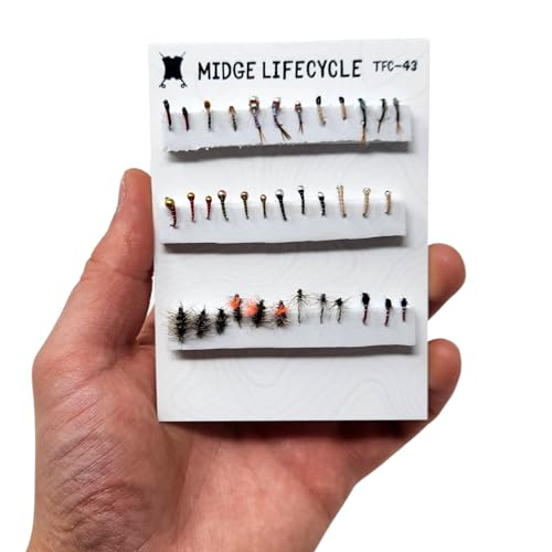 The Fly Crate | 36 Fly Fishing Flies Assortment with Tungsten and Brass Beads | 3 Dozen Nymph Dry Flies for Trout | Zebra ...