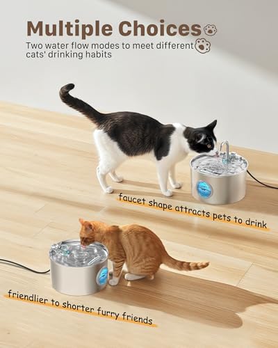 Cat Water Fountain Stainless Steel: 74oz/2.2L Cat Fountain for Drinking - Pet Water Fountain for Cats Inside - Quiet Cats ...