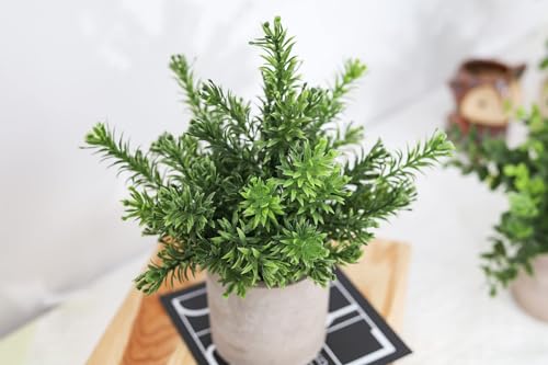 Der Rose 3 Pack Mini Potted Fake Plants Artificial Plastic Eucalyptus Plants Centerpieces for Table Home Office Desk Acces...