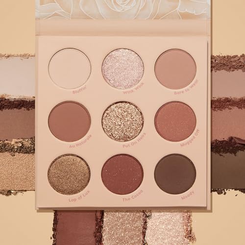 Colourpop Nude Mood Eyeshadow Palette - Brown & Copper Palette with Metallic and Matte Finishes - High-Pigment Eye Makeup ...