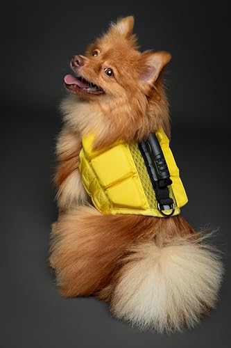 NOAH & PAW Dog Life Jacket, Human Standards Lifejacket Design, Dog Life Vest for Swimming and Boating, 3X Foam Support for...