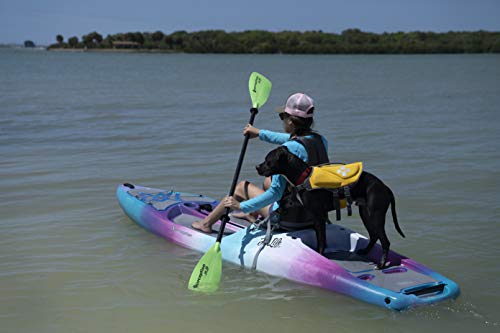 Perception Kayaks Hi Life 11 | Sit on Top Kayak - SUP/Paddleboard | Hybrid Boat with Seat Storage/Cooler | 11' | Sunset, (...