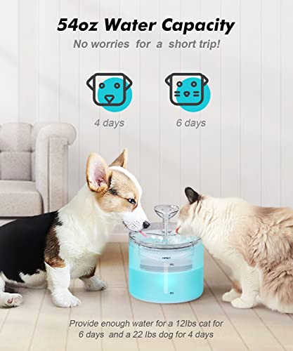 NPET WF100 Cat Foutain, 54oz/1.6L Automatic Pet Water Fountain Dog Water Dispenser with 2 Flow Modes, Bottom Suction LED L...