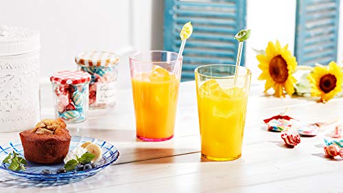 SCANDINOVIA - 19oz Unbreakable Premium Drinking Glasses Set of 6 - Super Grade Acrylic Plastic - Perfect for Gifts - Dishw...