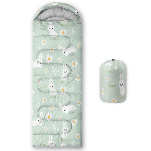 AILONEN Cartoon Car Sleeping Bags,Lightweight & Waterproof,3 Season Warm & Cool Weather,Cute Stars Printed Vehicles Transp...
