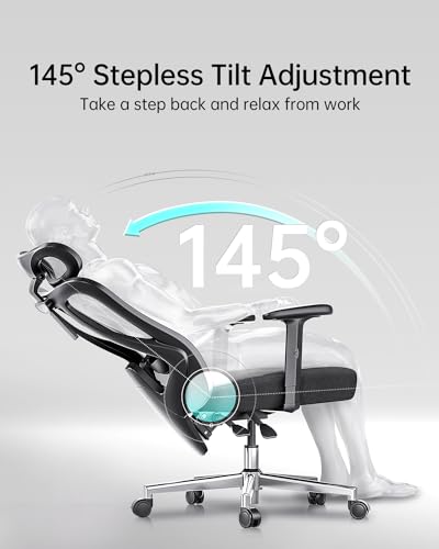 Hbada P3 Ergonnomic Office Chair with 2D Adjustable Lumbar Support, Office Chair with Adjustable Headrest and Armrest, 14...