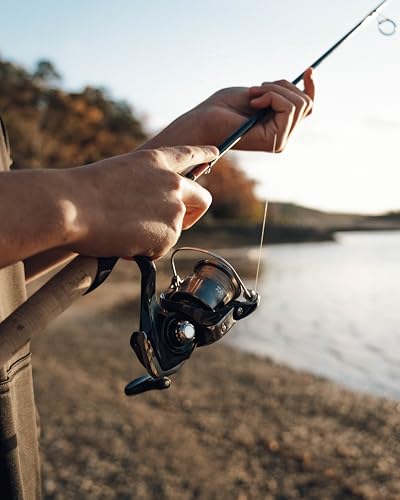 LT CROSSFIRE 2025 by DAIWA