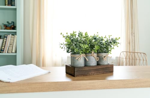Dahey Centerpiece Table Decorations Coffee Table Decor Wood Tray 3 Galvanized Pots with Artificial Eucalyptus Plants Farmh...
