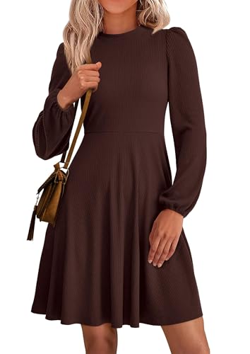 PRETTYGARDEN Womens Long Sleeve Mini Dress 2026 Fall Trendy Crewneck Ribbed Knit Soft A Line Flowy Summer Formal Dresses