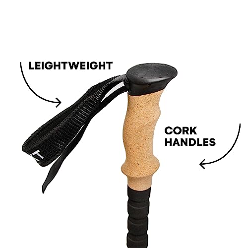 Effekt Carbon Trekking Poles Adjustable with Cork Grip & Bag - Hiking Poles, Telescopic Portable Nordic Walking Stick with...