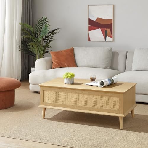 INK+IVY Teagan Lift-Top Rattan Coffee Table