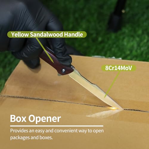 ALBATROSS Premium Folding Pocket Knife - EDC with D2 Steel Blade 3.5", Yellow Sandalwood Handle, Ball Bearing Assisted Ope...