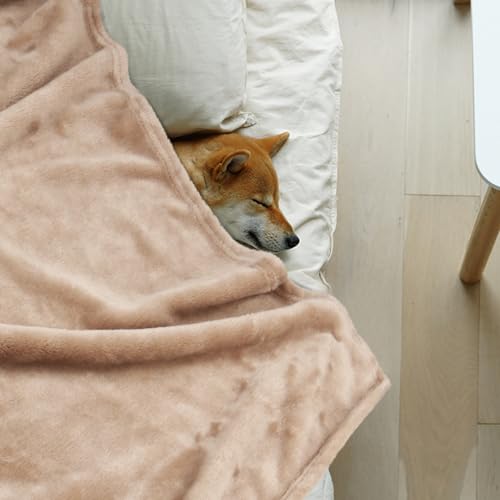 Onarway Dog Blanket Washable for Puppy: 4 Packs Dog Blankets 40”x28” - Fluffy Soft Small Throw for Cat Puppy Kitten Dogs -...
